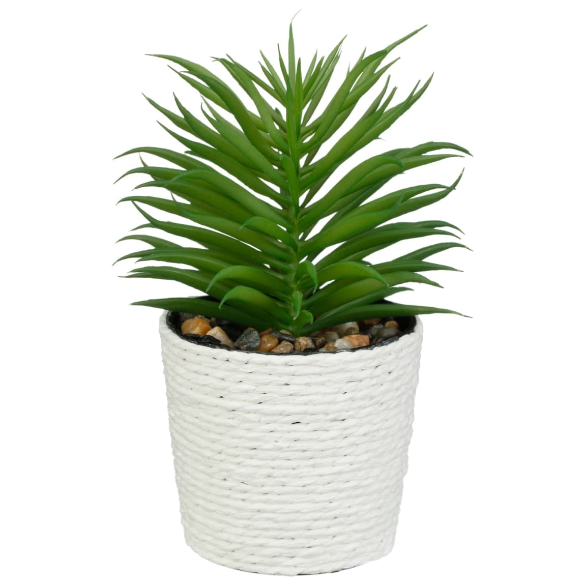 420129-mini-rattan-succulent-white
