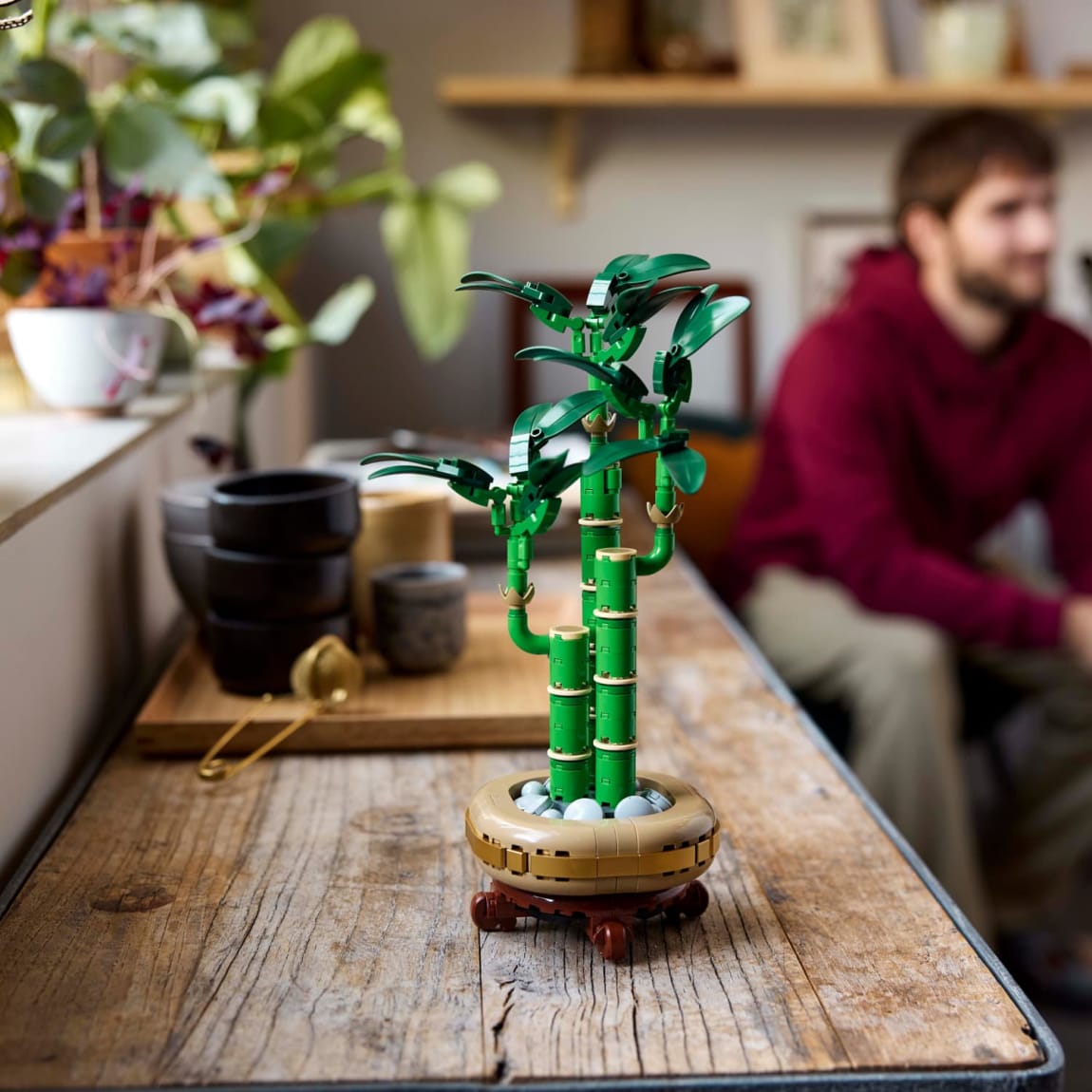 420172-lego-botanicals-lucky-bamboo-6