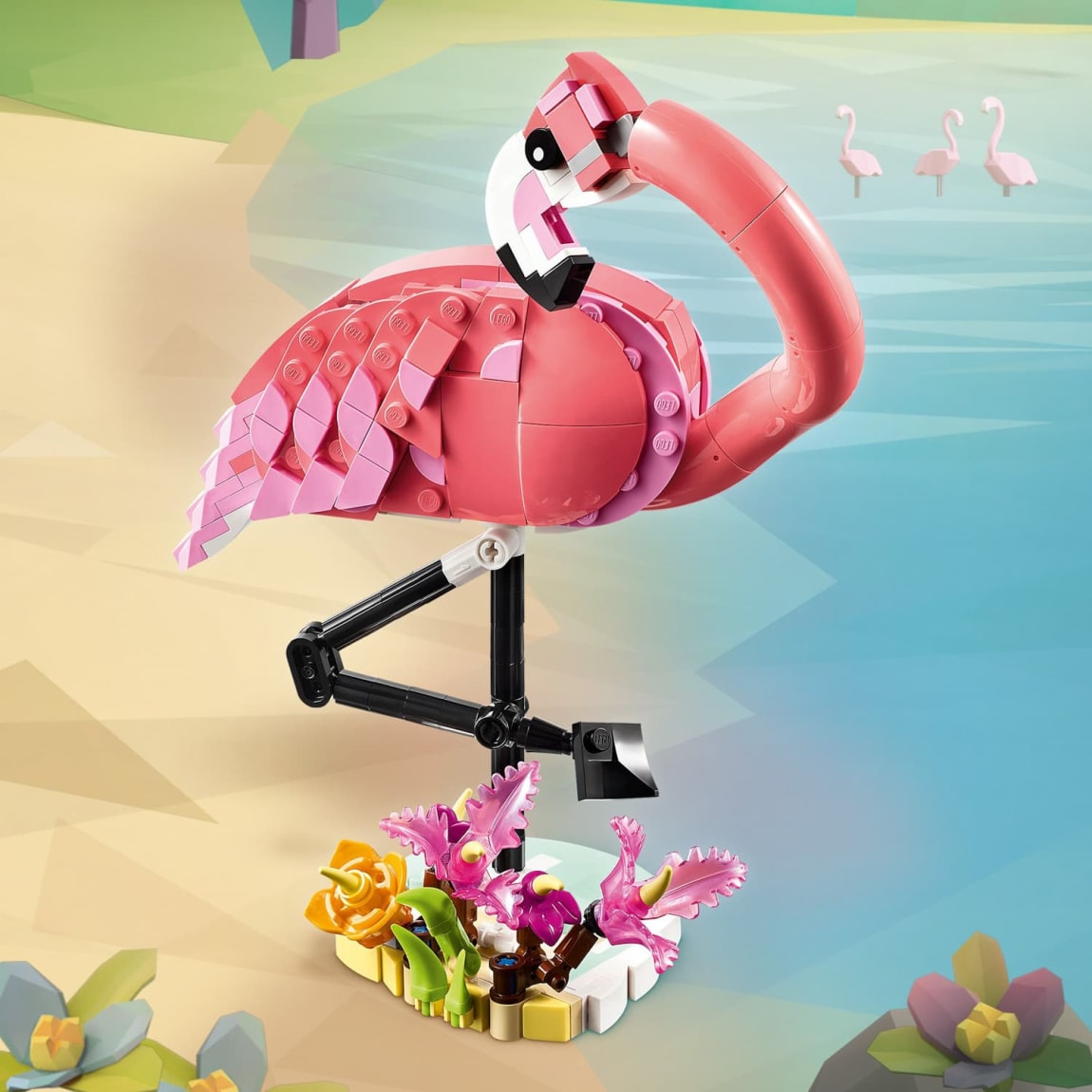 420255-wild-animal--pink-flamingo-31170-3