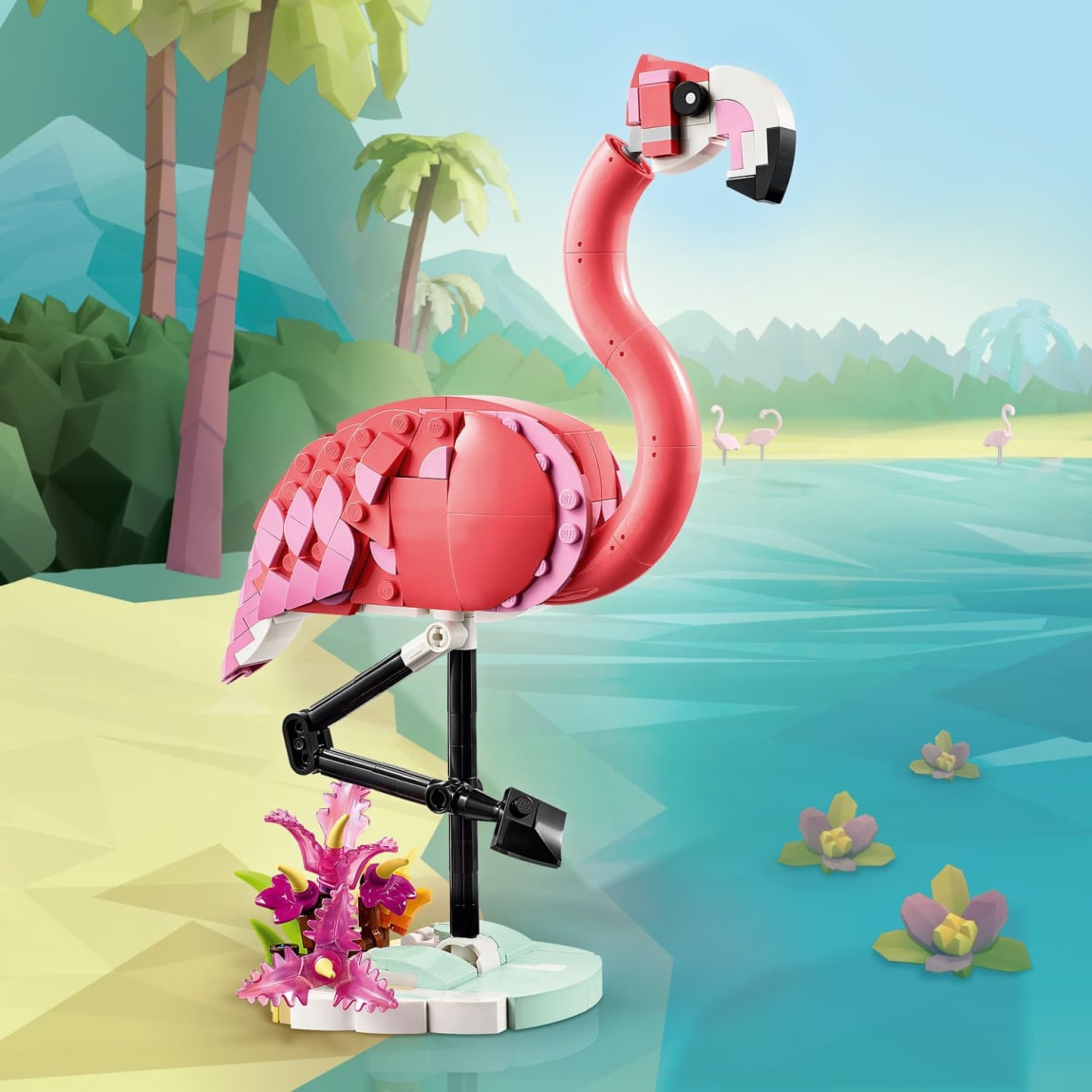 420255-wild-animal--pink-flamingo-31170