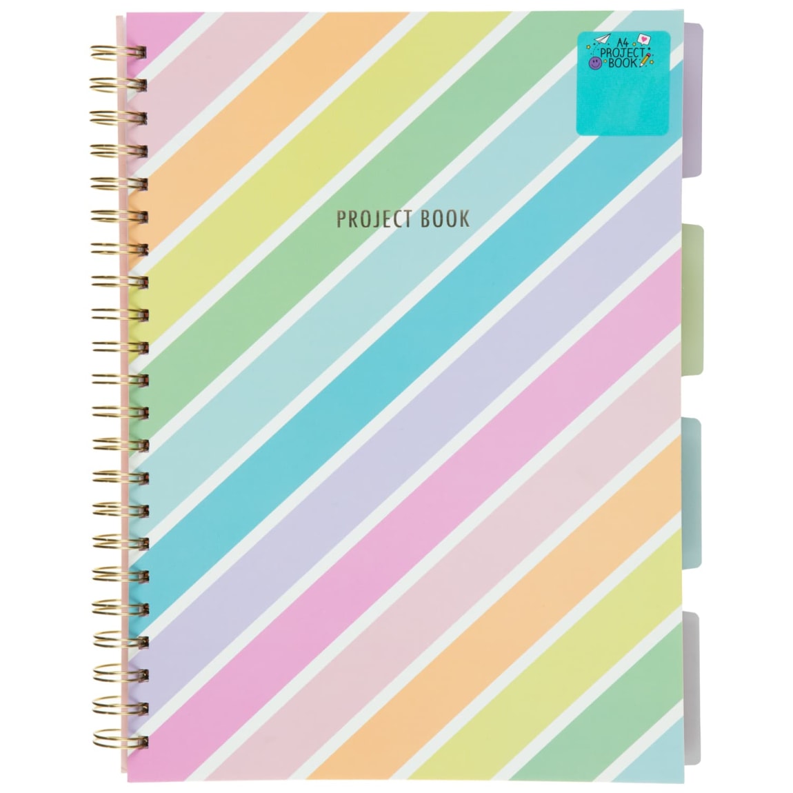 421939-a4-project-book-rainbow-stripe