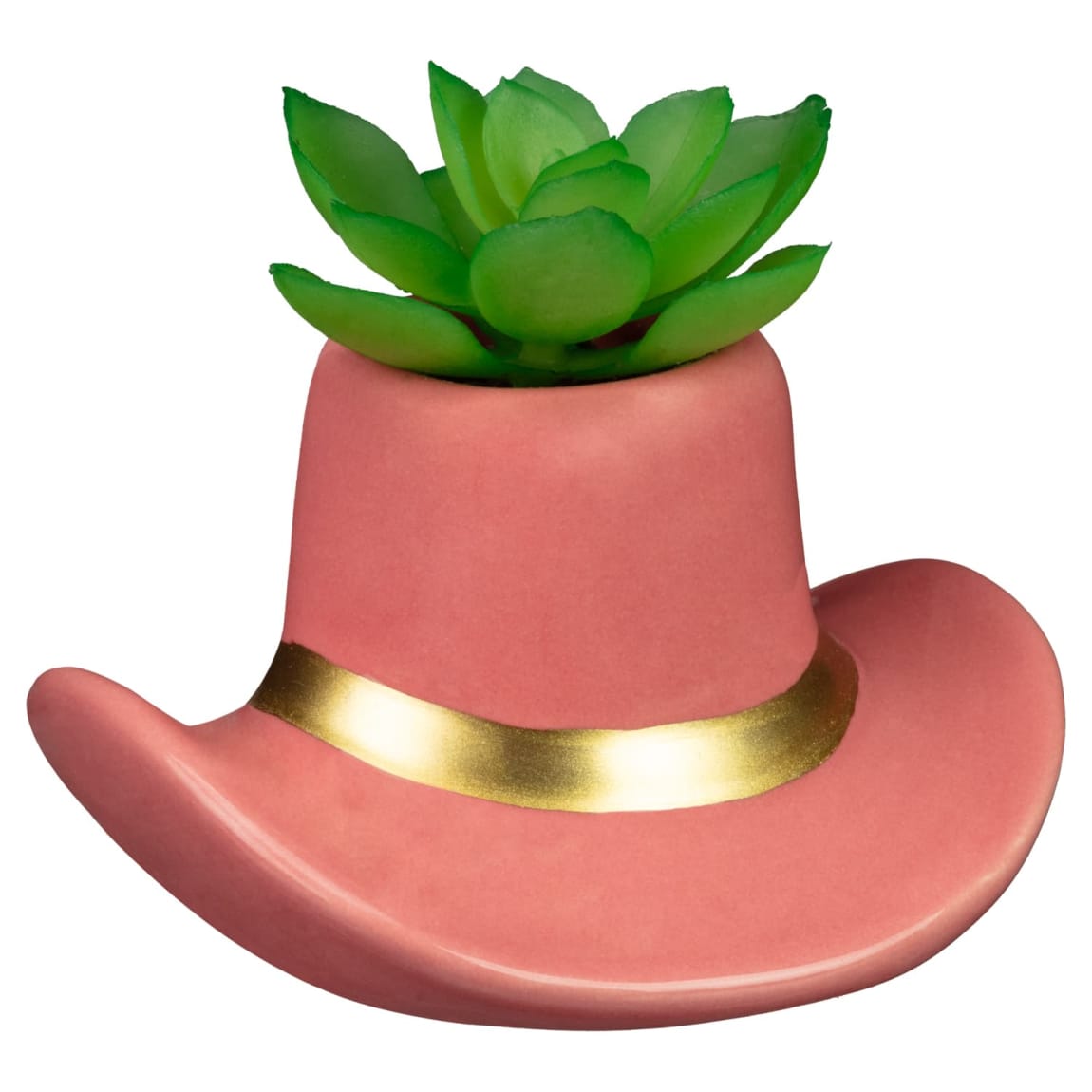 422692-cowboy-hat-succulent