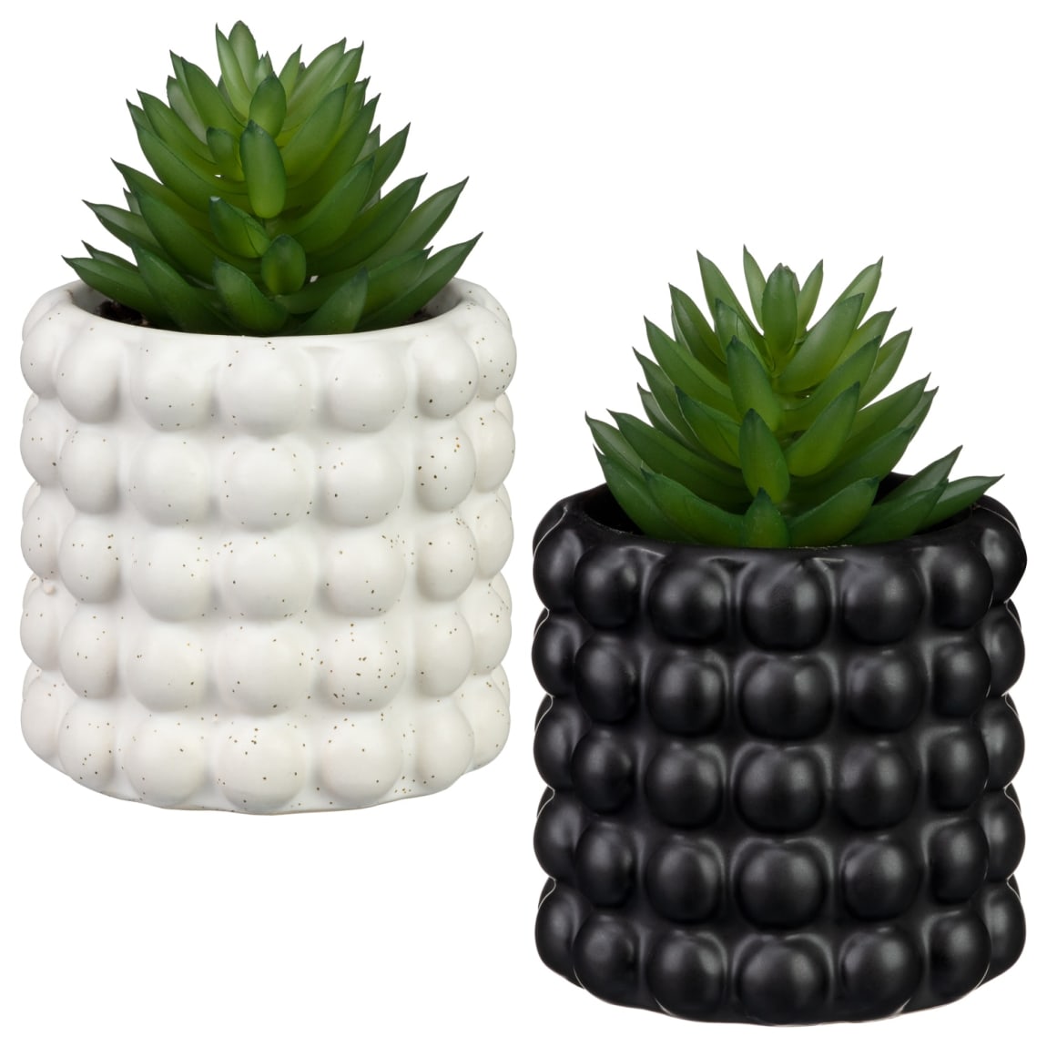 422693-succulent-in-bubble-vase-group