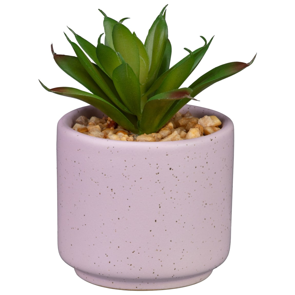 422711-small-succulent-in-speckled-jar-pink
