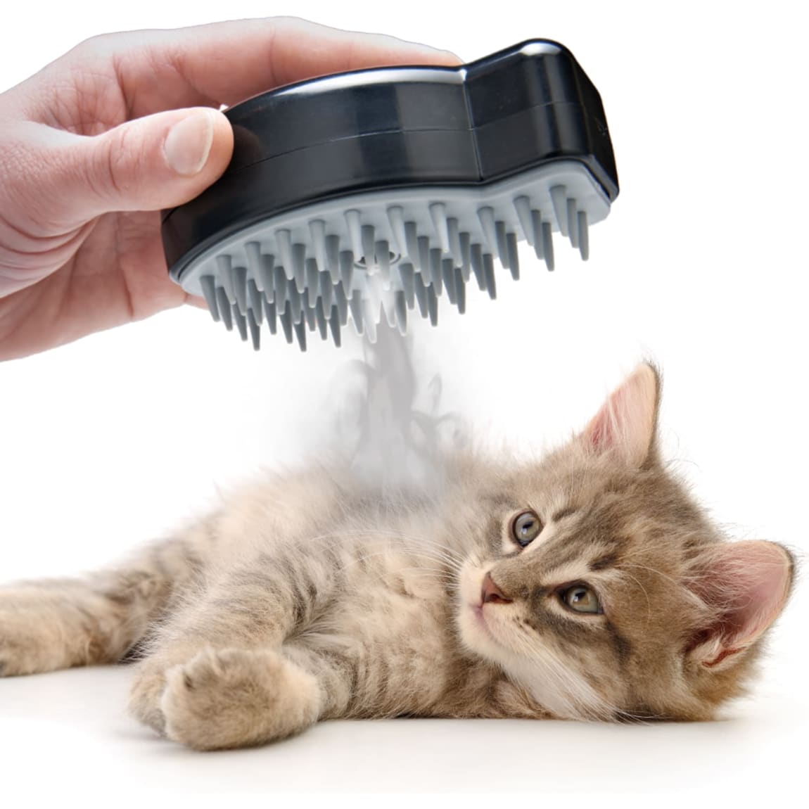422894-kittykins-cat-brush-black-2