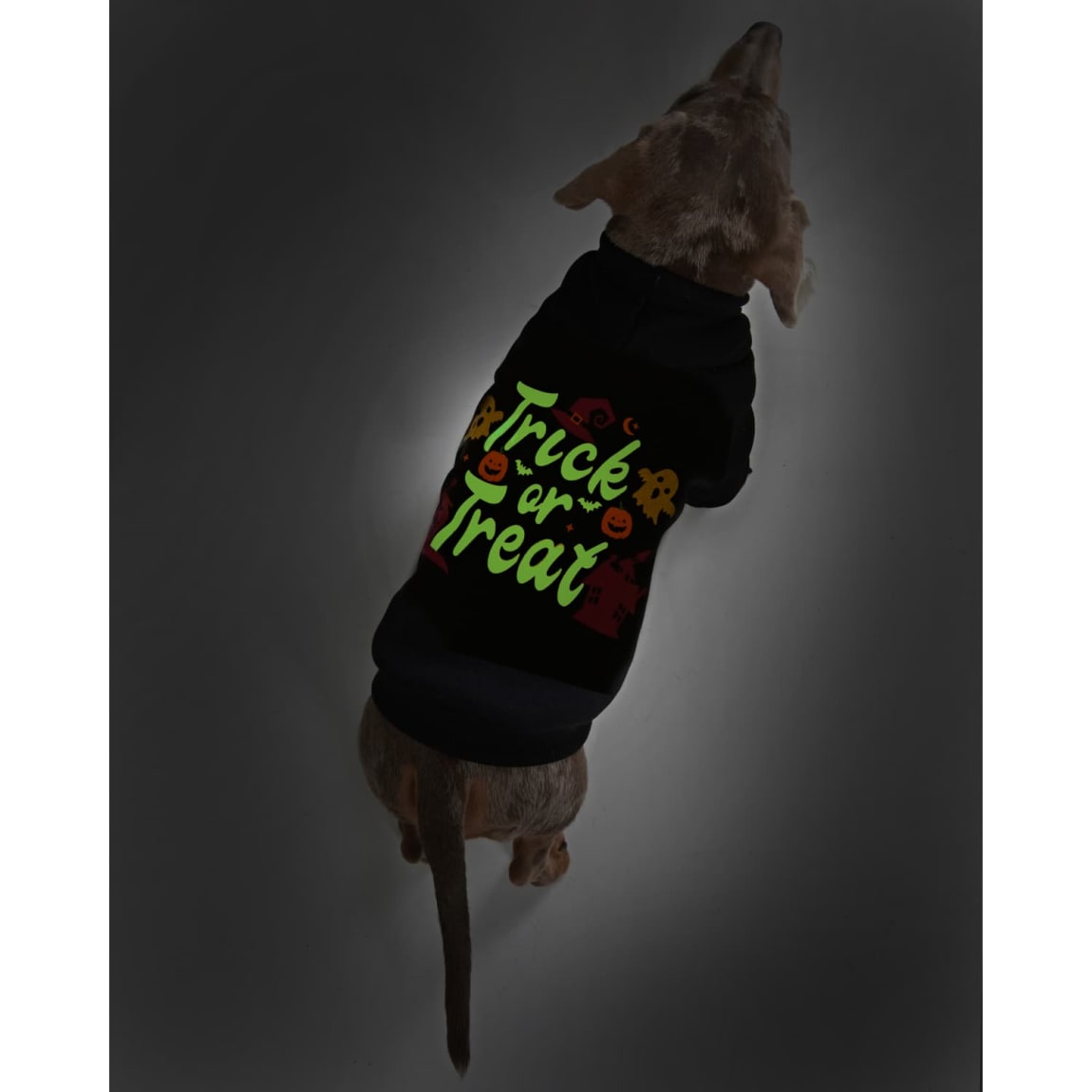 422936-trick-or-treat-dog-hoodie-4