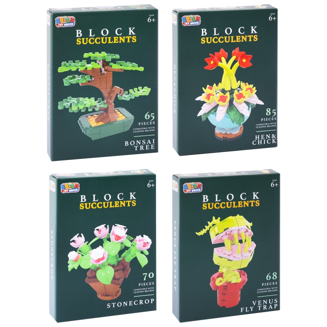 423033-block-succulents-group