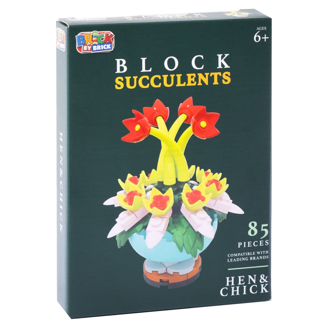423033-block-succulents-hen-and-chick
