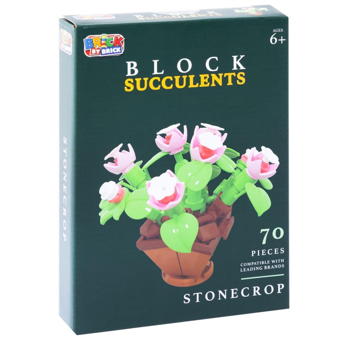 423033-block-succulents-stonecrop