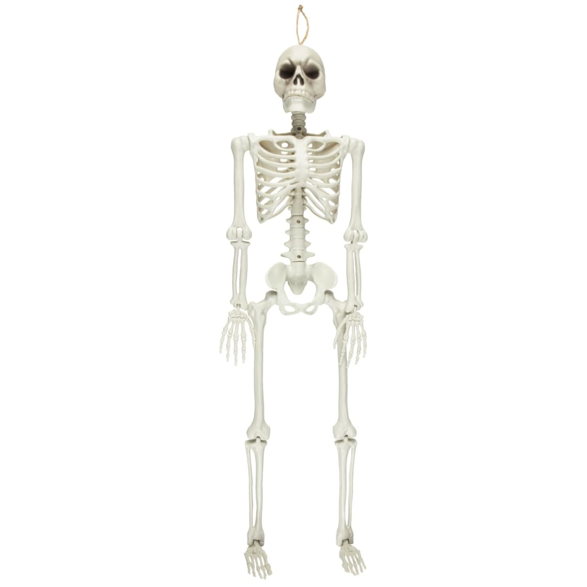 423239-90cm-skeleton2