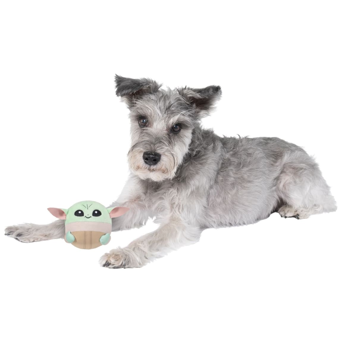 423587-3_5in-squeaky-plush-dog-toy-2