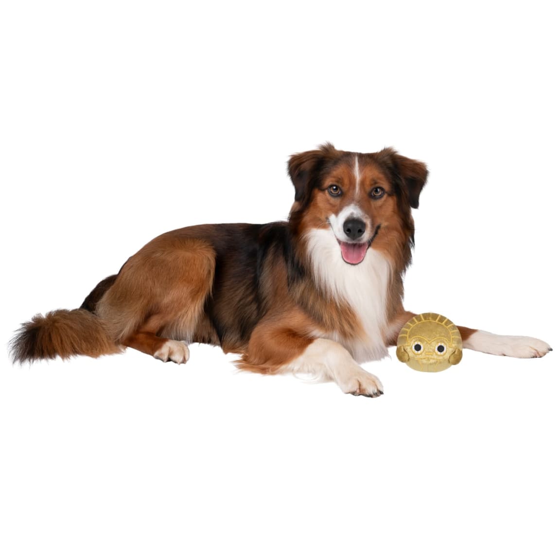 423587-3_5in-squeaky-plush-dog-toy-4
