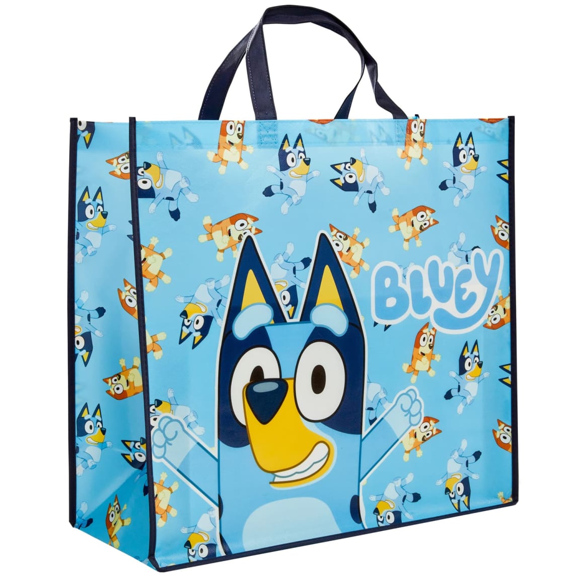 423805-bluey-bag-2