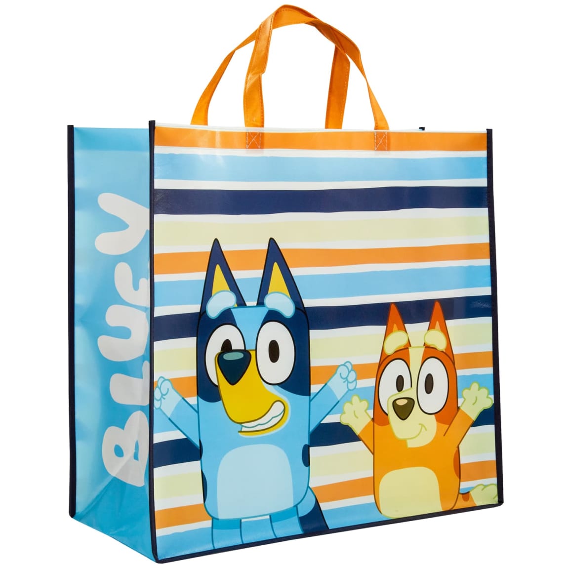 423805-bluey-bag