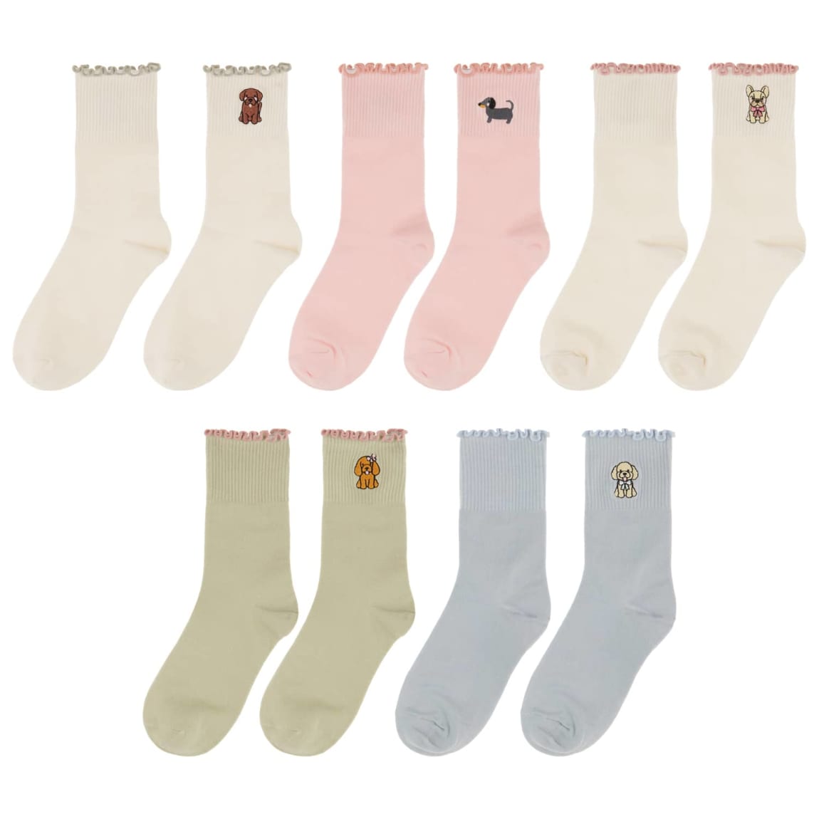 424657-dog-breeds-socks-group