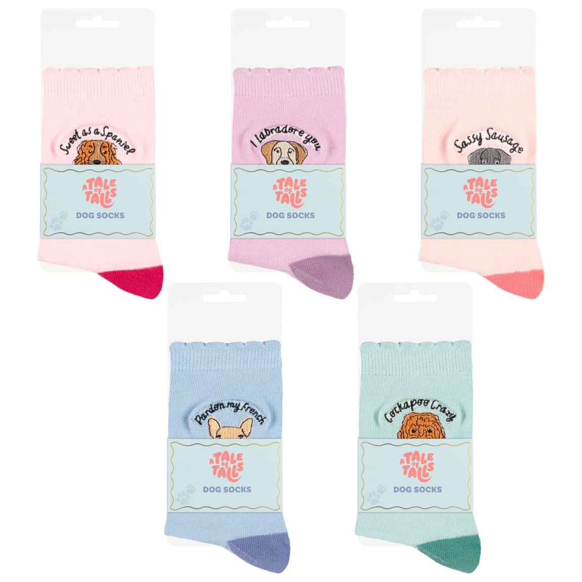 424657-dog-socks-group