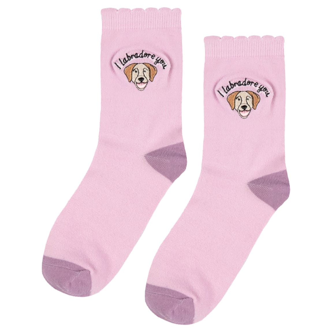 424657-dog-socks-i-labradore-you-2