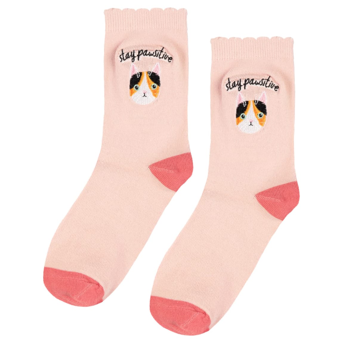 424670-cat-socks-stay-pawsitive-2
