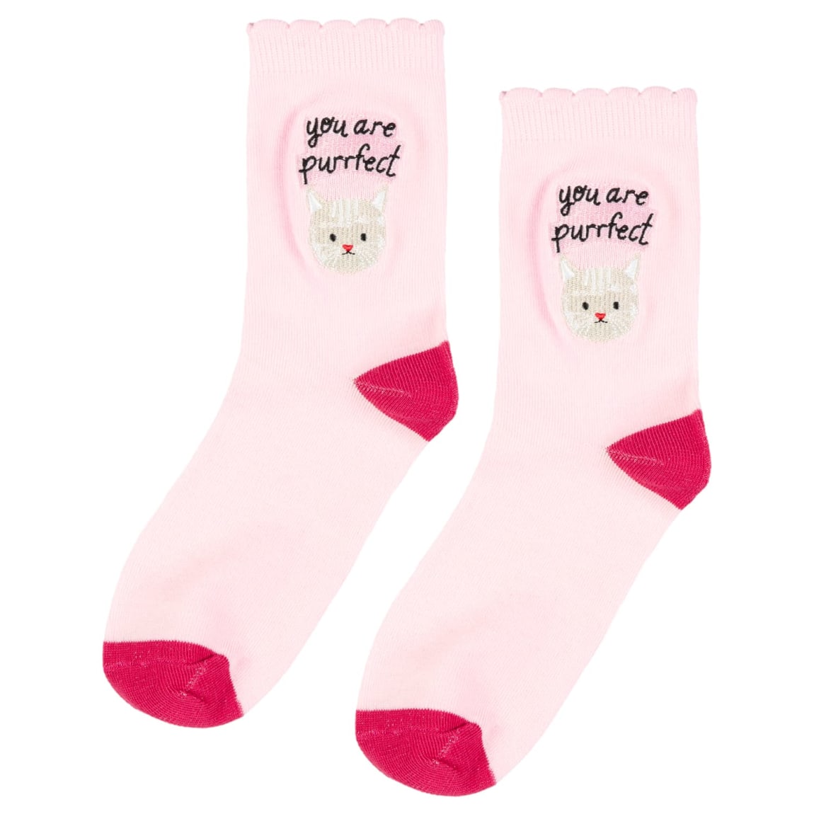 424670-cat-socks-you-are-purrfect-2