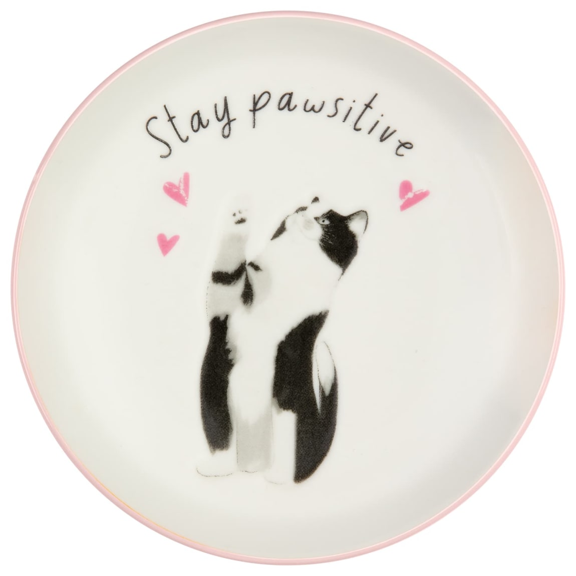 424702-cat-trinket-dish-stay-pawsitive