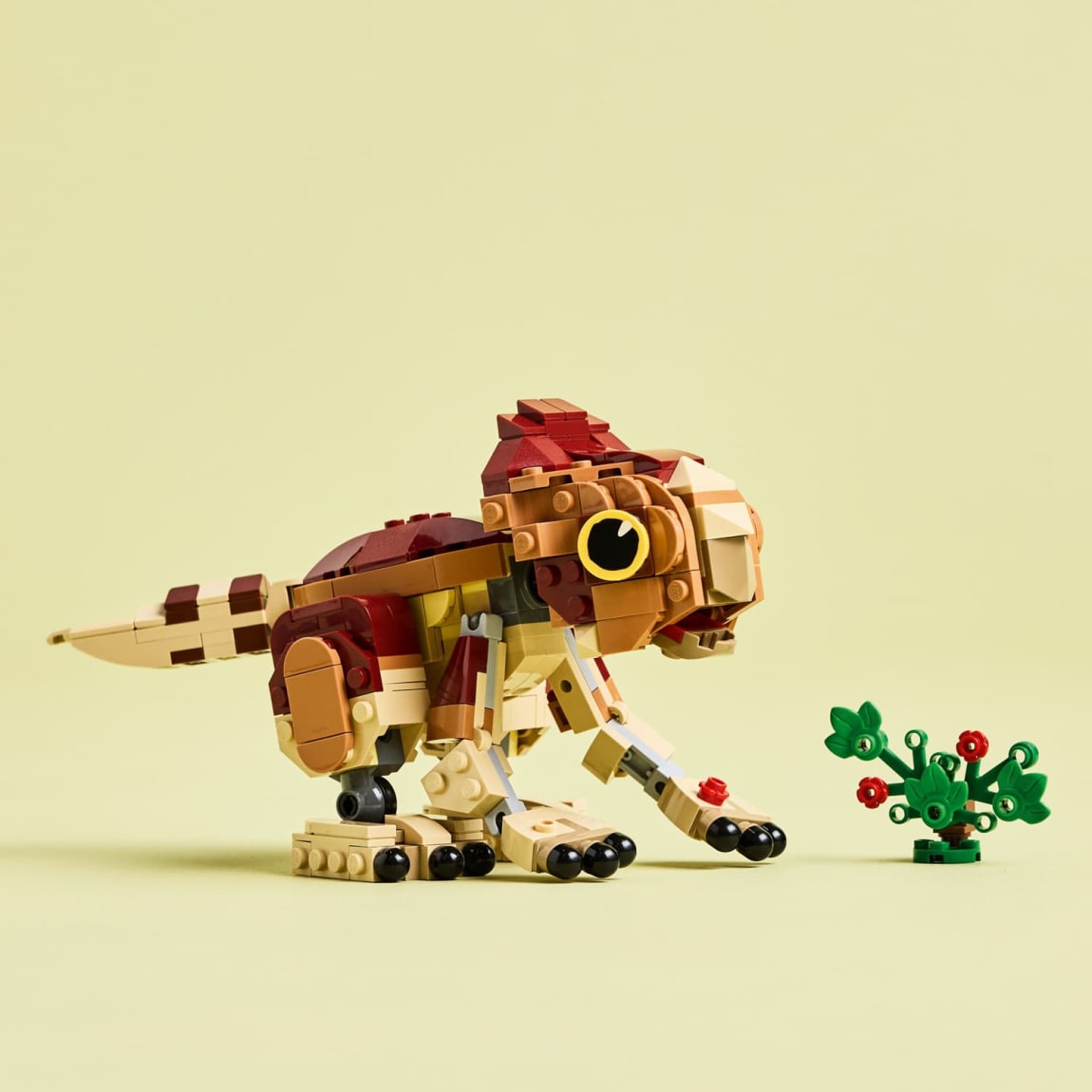 425781-lego-jurrasic-world-baby-dinosaur-dolores-aquilops-2
