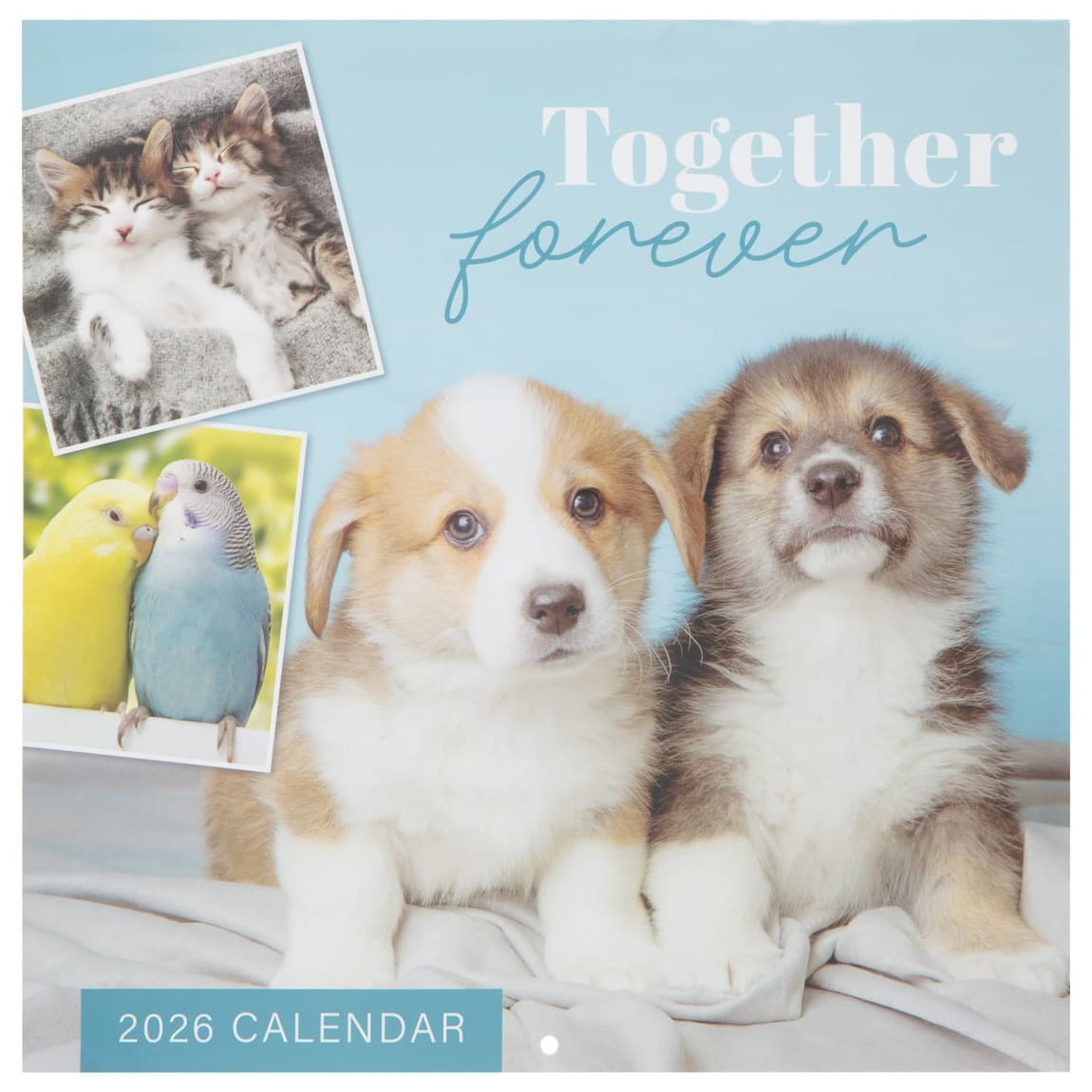 425862-calendar-and-diary-2026-animals-21