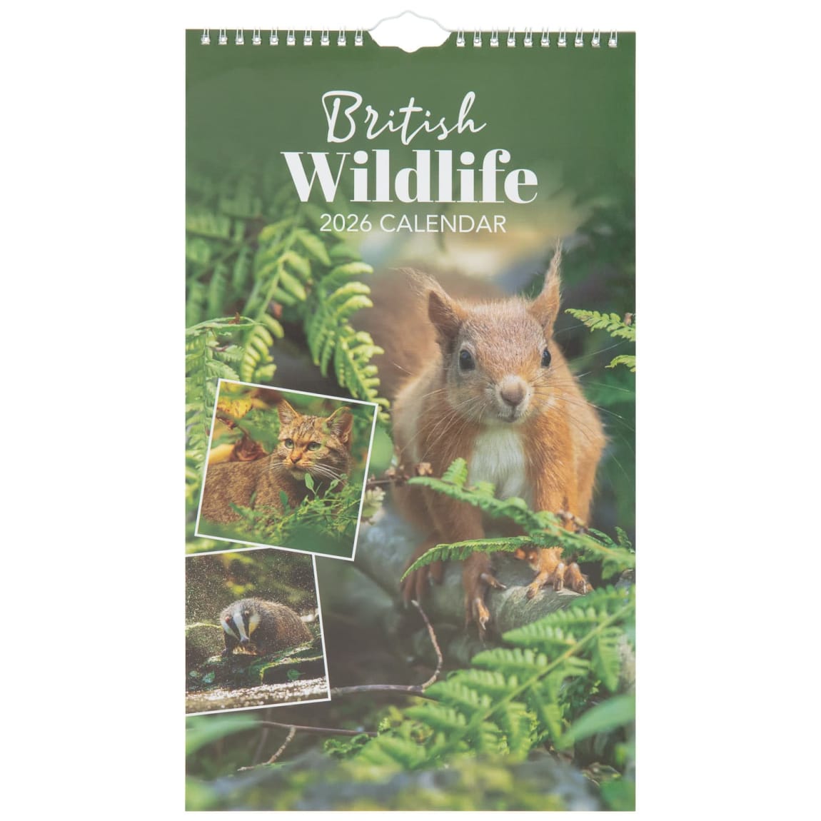 425867-midi-calendar-2026-british-wildlife1