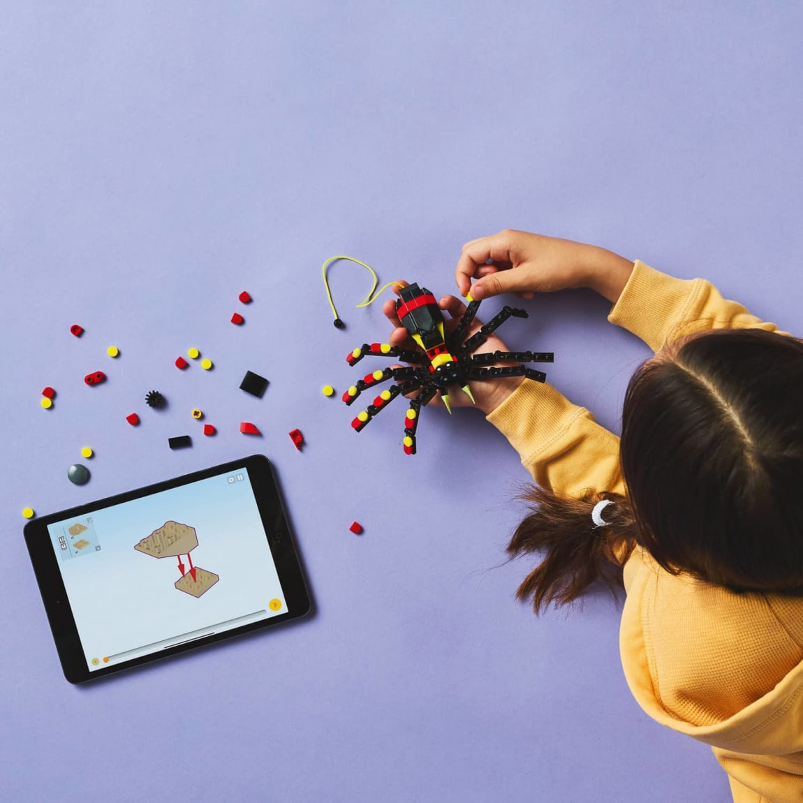 427736-wild-animal-surprising-spider-2