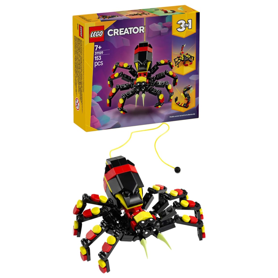 427736-wild-animal-surprising-spider-7