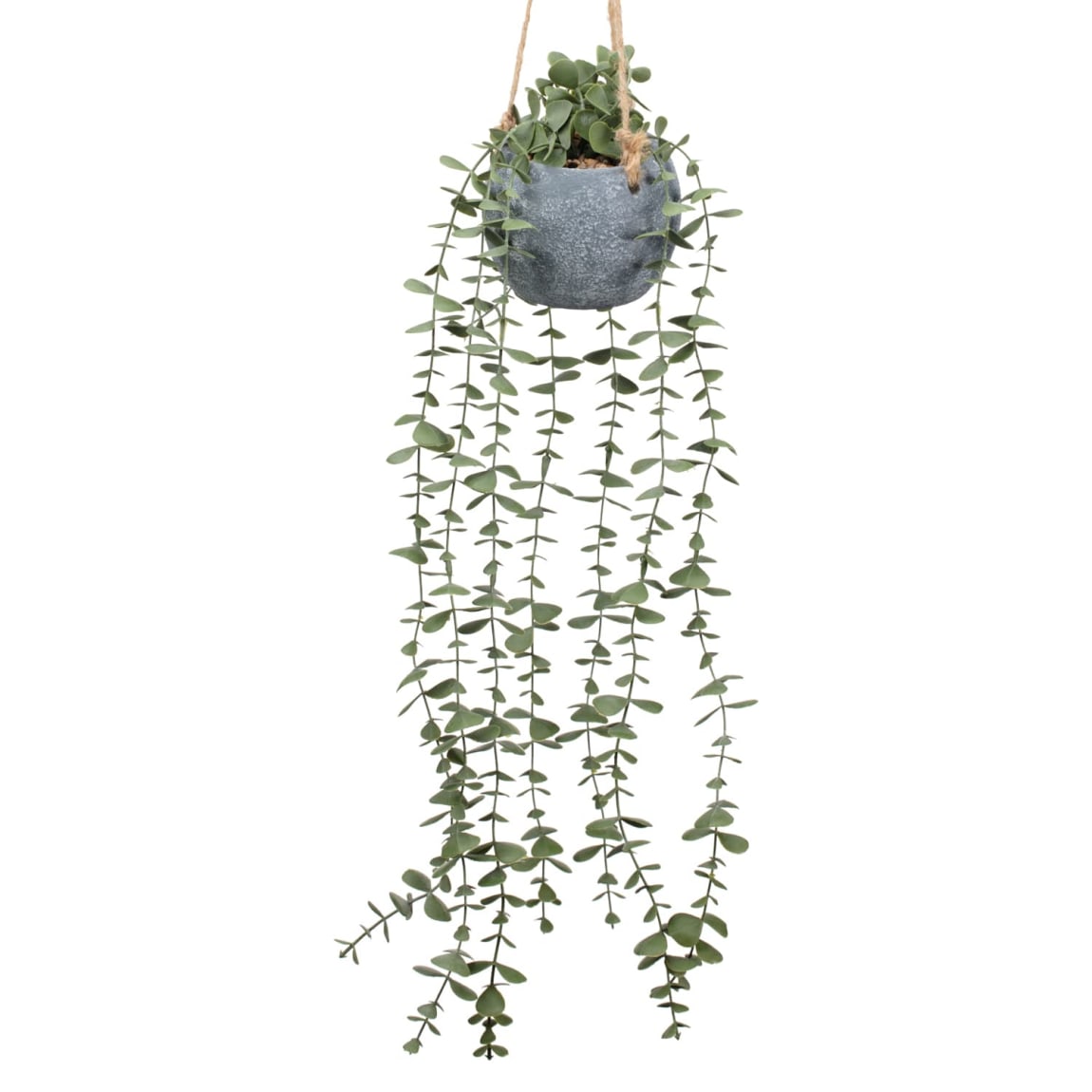 428735-concrete-hanging-foliage-2