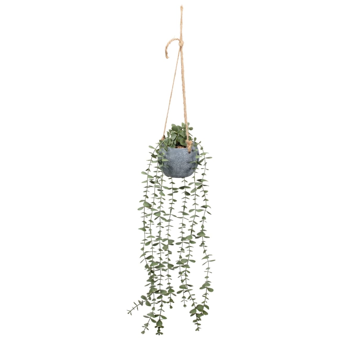 428735-concrete-hanging-foliage