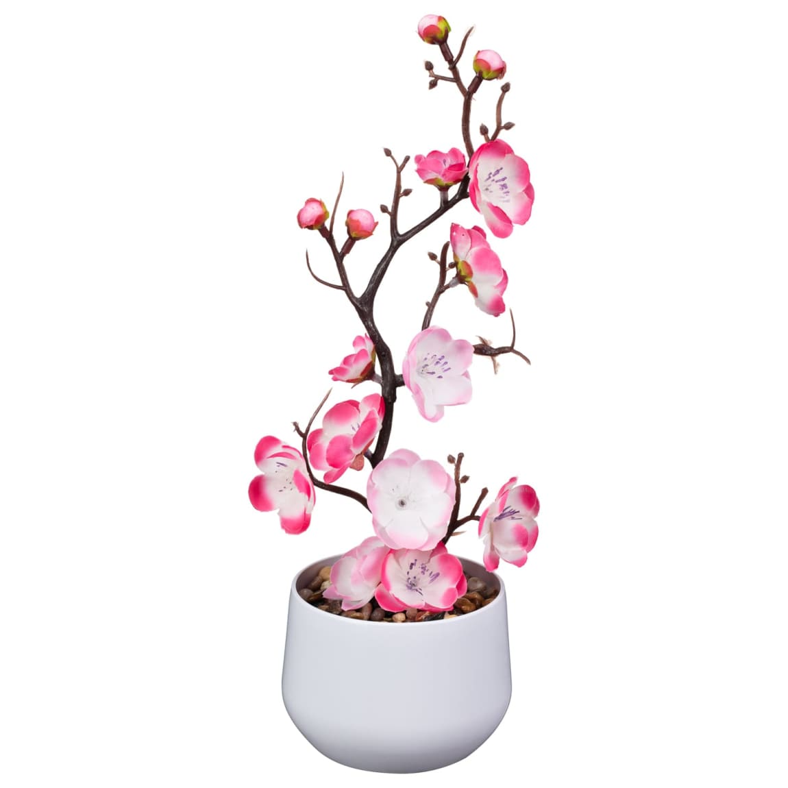 428742-tall-blossom-in-white-pot-pink