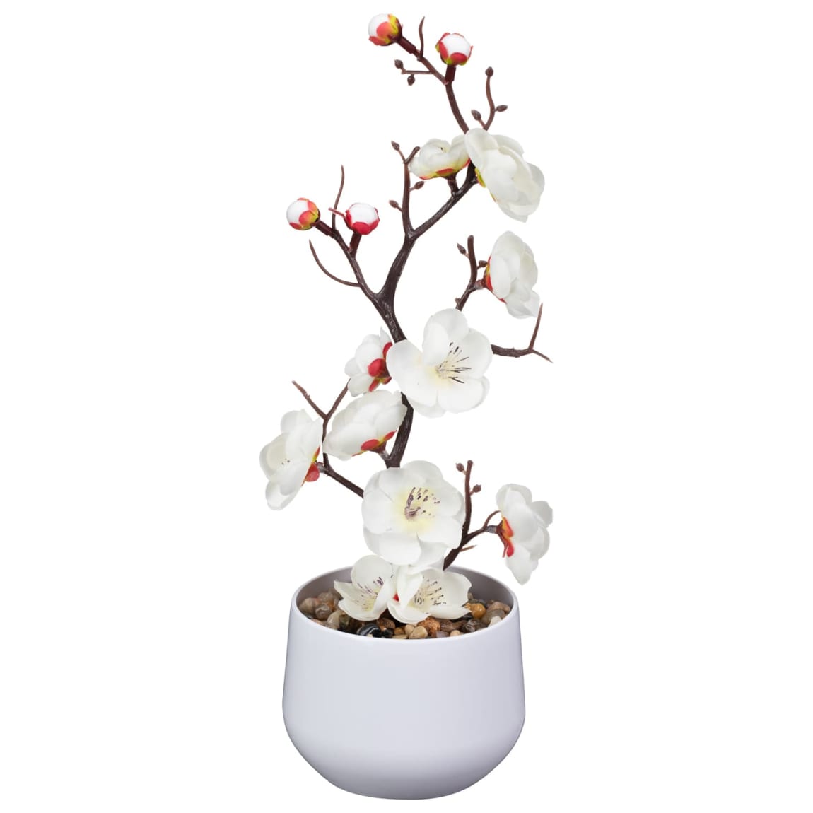 428742-tall-blossom-in-white-pot-white
