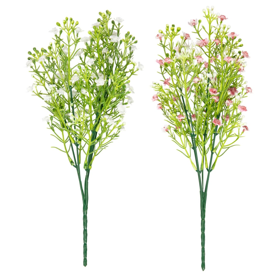 428745-gypsophila-bunch-group