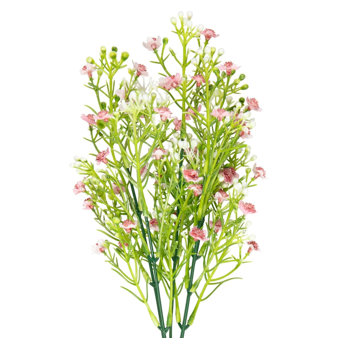 428745-gypsophila-bunch-pink-2