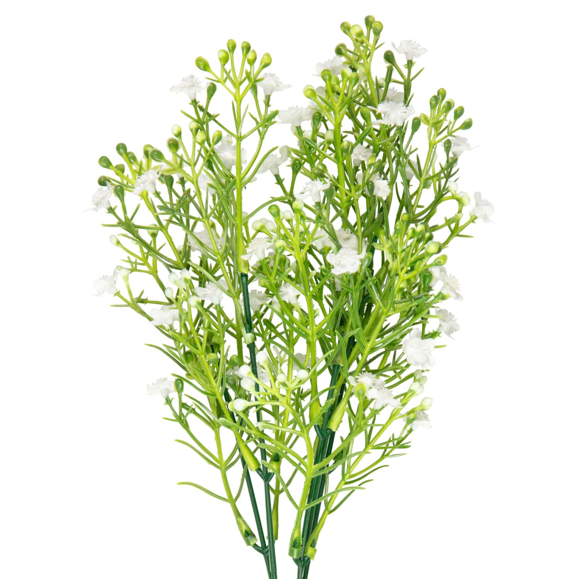 428745-gypsophila-bunch-white-2