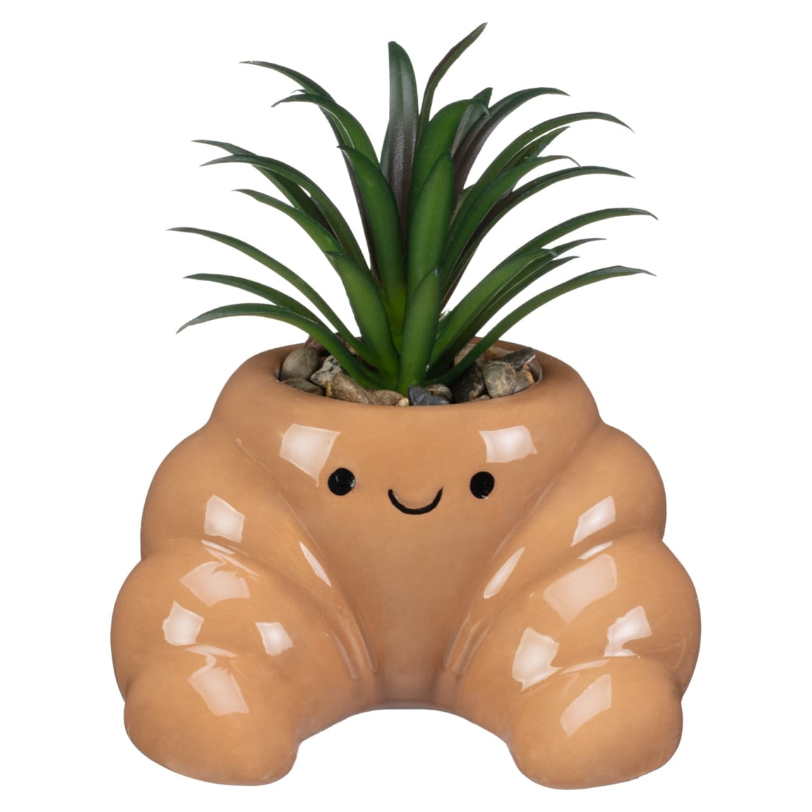 428762-jelly-cat-inspired-succulents-croissant