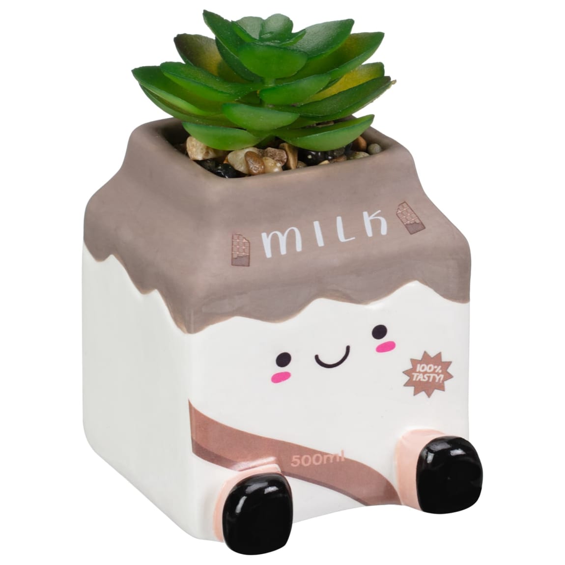 428763-jelly-cat-inspired-succulents-carton-chocolate-milk