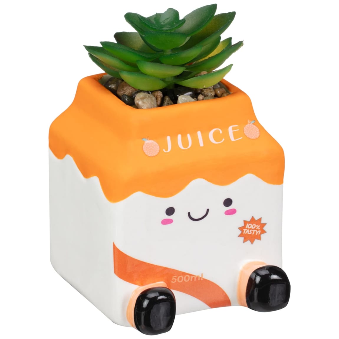 428763-jelly-cat-inspired-succulents-carton-juice