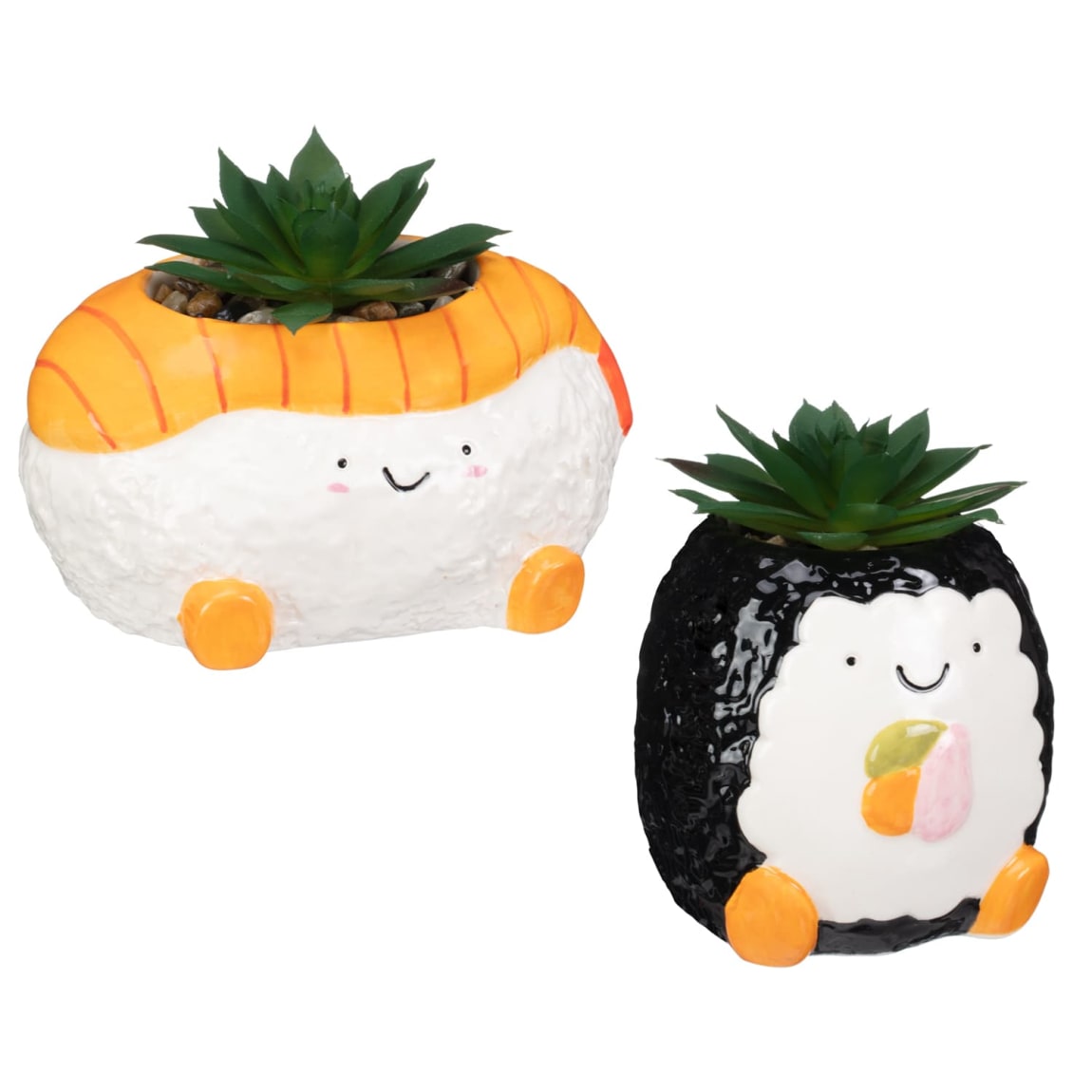 428765-jelly-cat-inspired-succulents-sushi-group