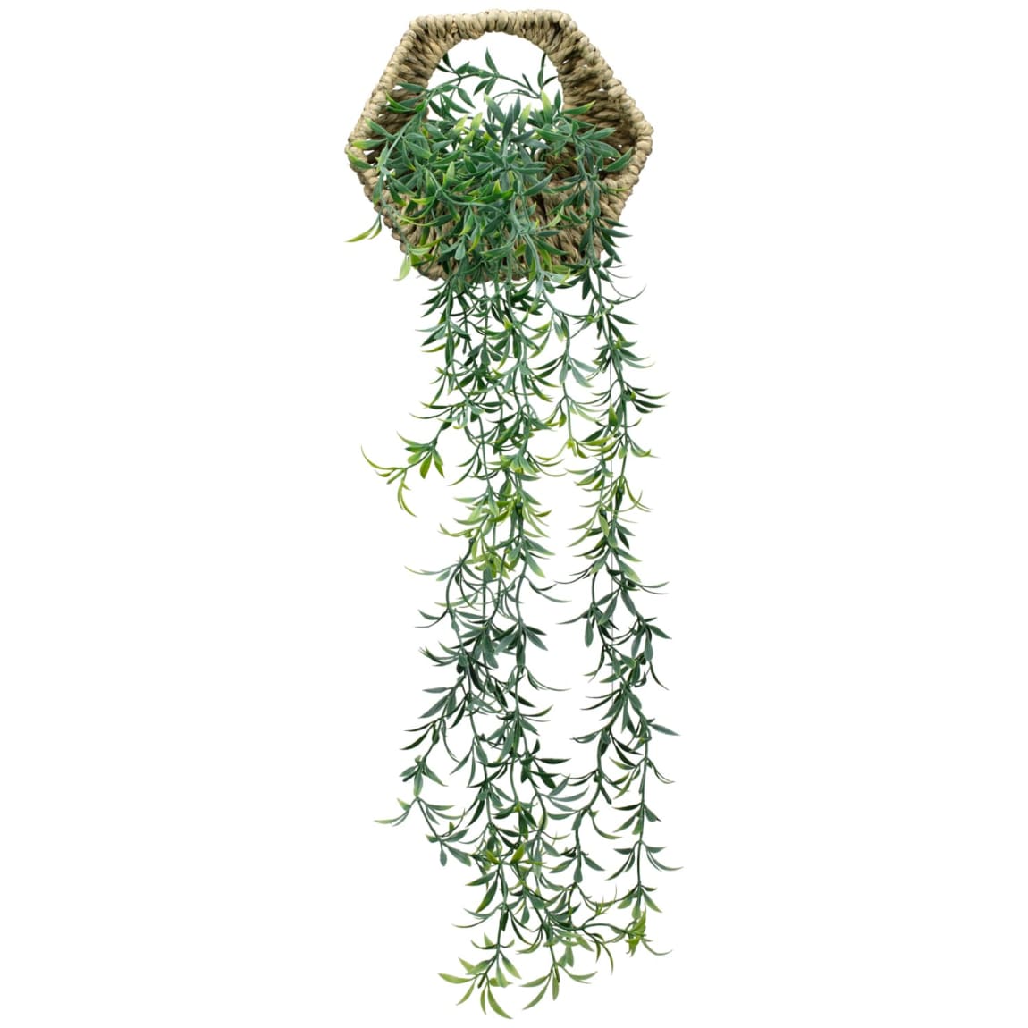 428802-hanging-plant-in-hexagonal-woven-pot