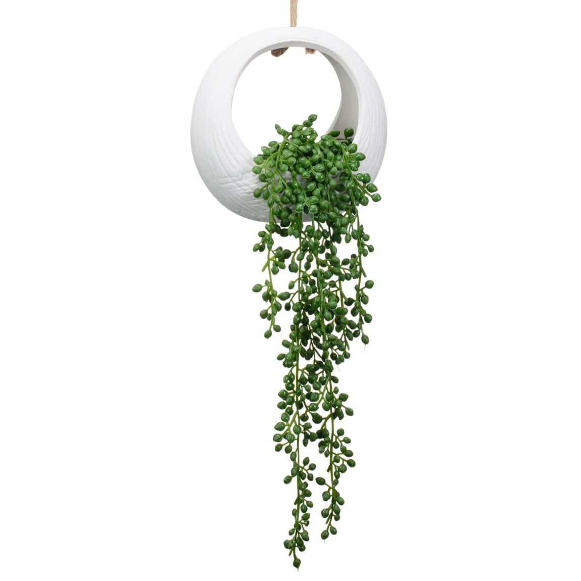 428803-hanging-plant-in-ceramic-pot