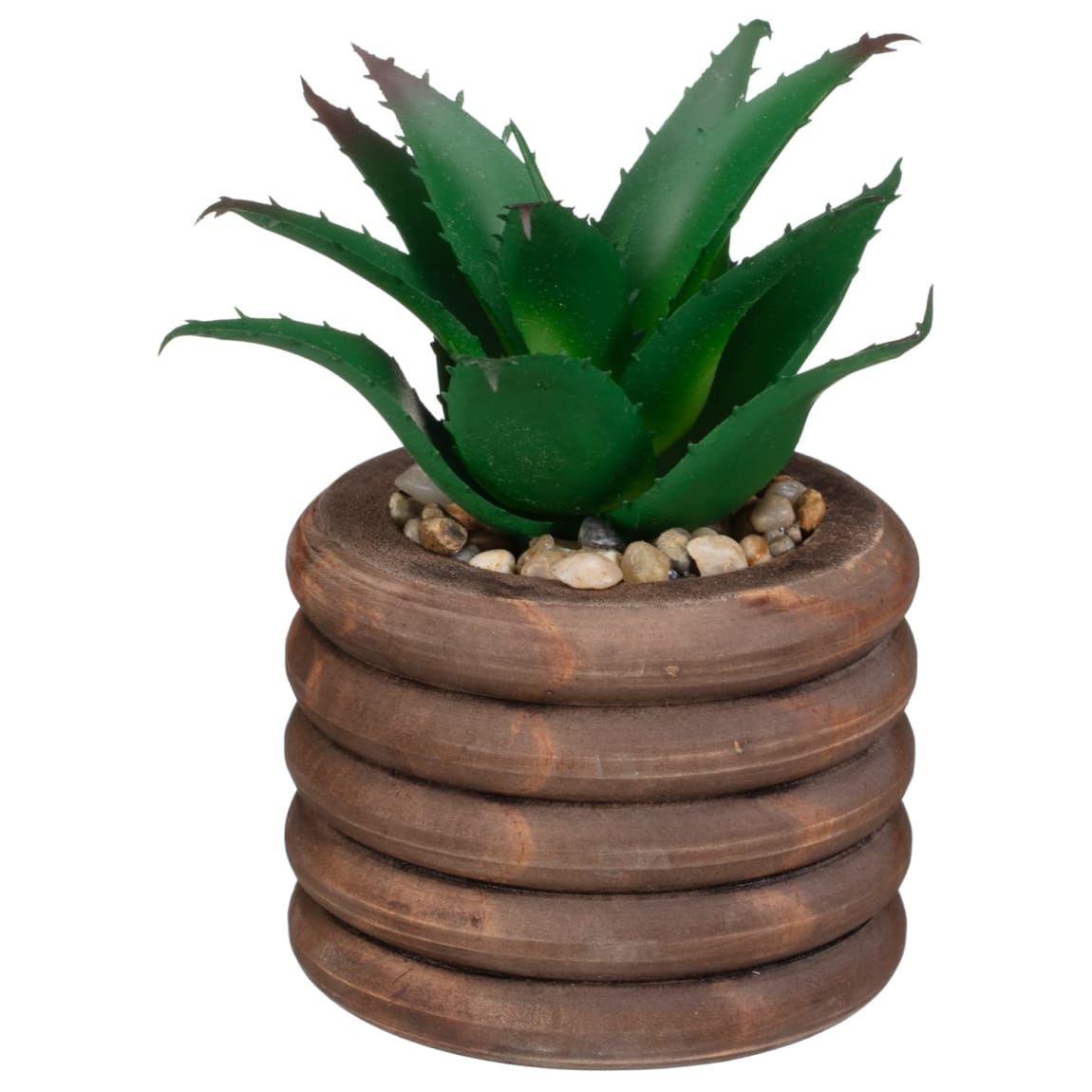 428804-succulents-in-dark-wood-bubble-pot-2