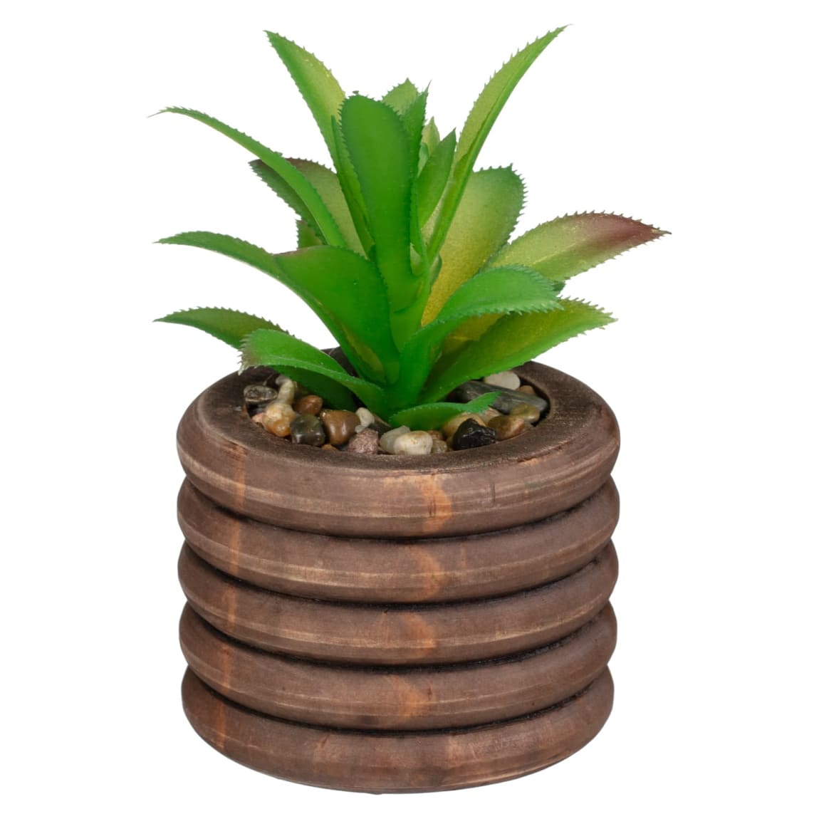 428804-succulents-in-dark-wood-bubble-pot-3