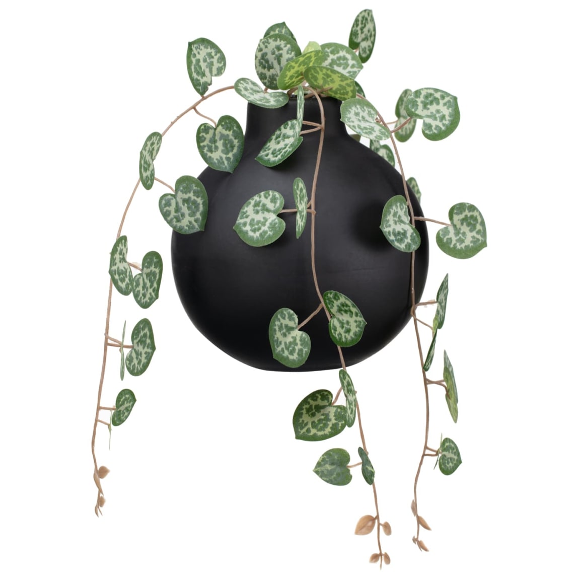 429028-trailing-hearts-in-black-pot