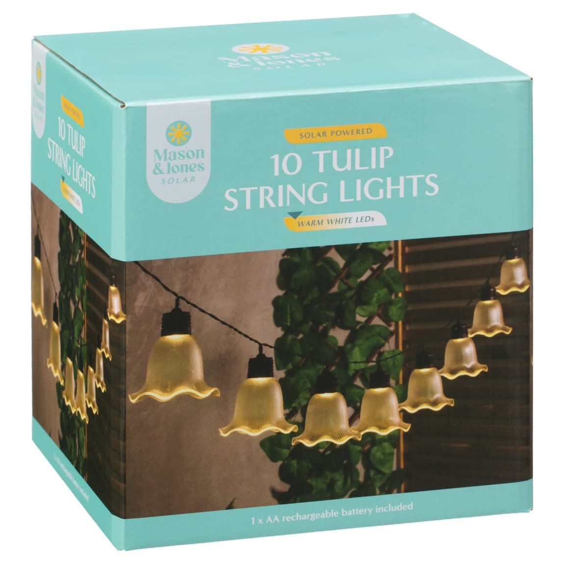 429535-solar-powered-10-ribbed-tulip-string-light-clear1