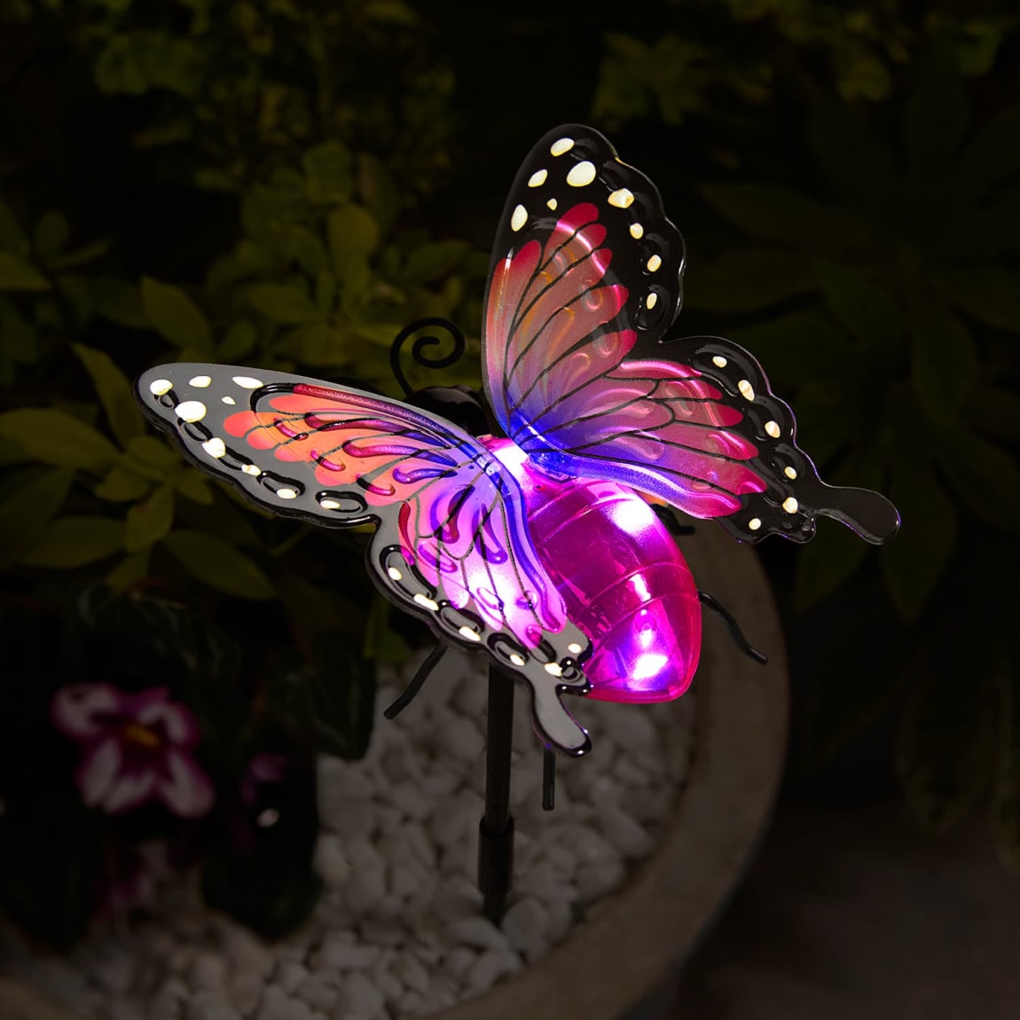 429570-solar-powered-2in1-butterfly