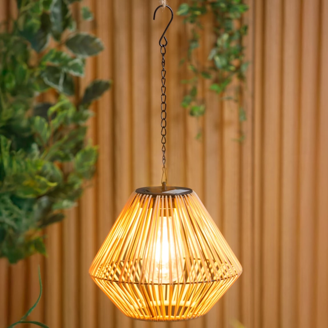 429636-natural-hanging-light
