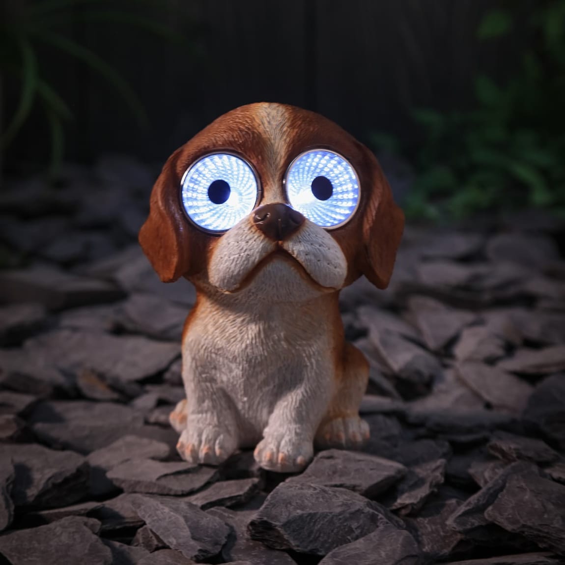 429642-solar-powered-big-eyed-dogs-3