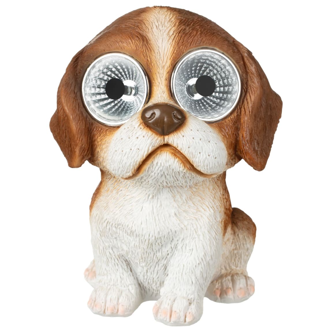 429642-solar-powered-big-eyed-dogs-31